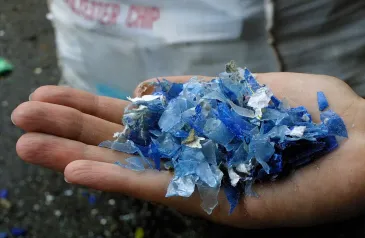 Plastové znečištění